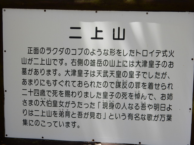 DSCN8363