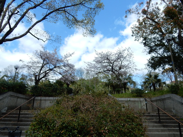 DSCN1882
