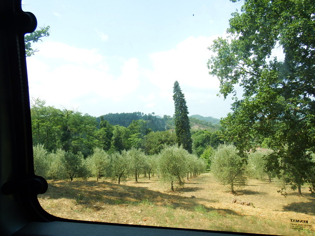 DSCF6391