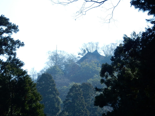 DSCN1540