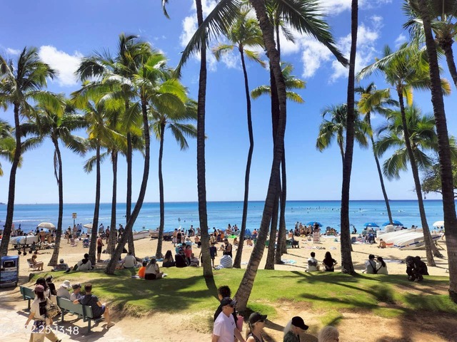 LINE_ALBUM_2026.25〜26 HAWAII5日目ハワイ州陸軍博物館・小学校＆幼稚園・フラダンス_260301_48