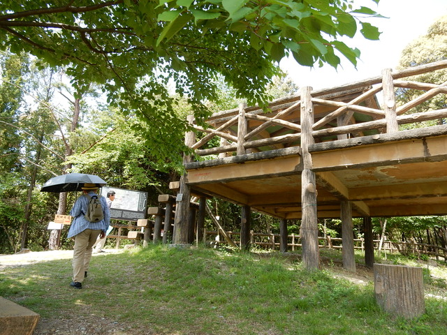 DSCN2319
