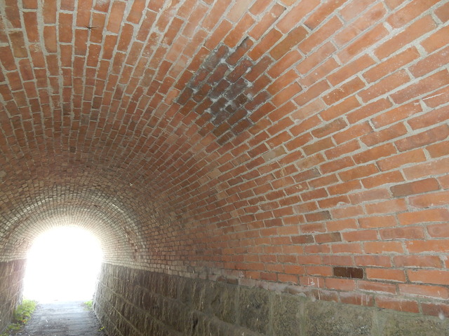 DSCN8398