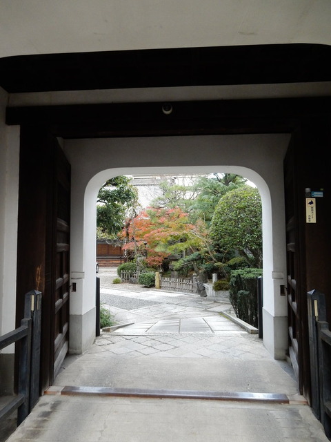 DSCN6871