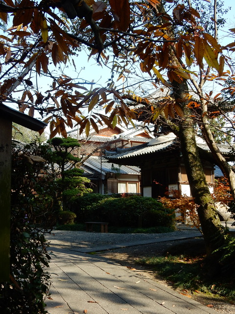DSCN9777