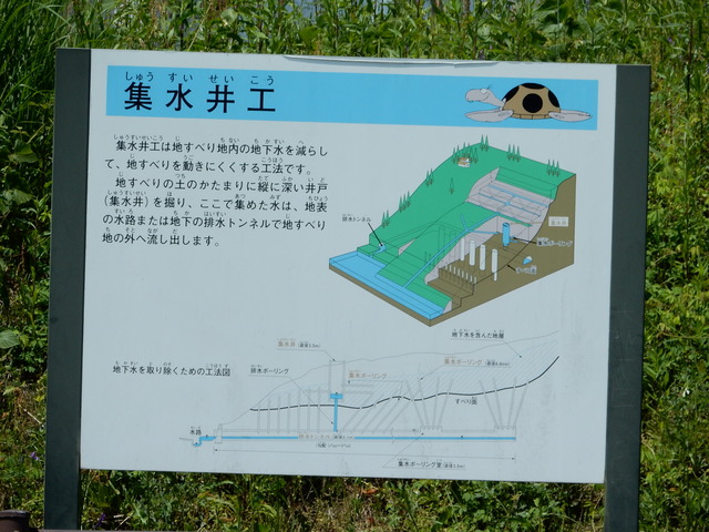 DSCN2408