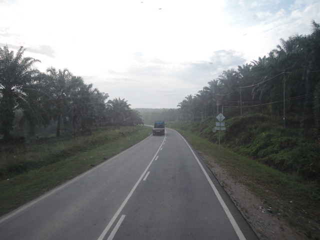 DSCN0358