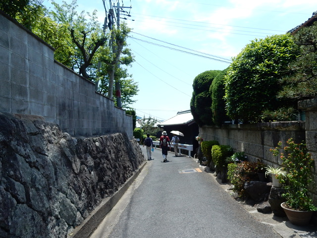 DSCN2387
