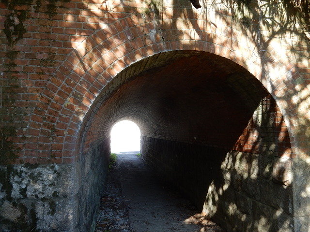 DSCN8396