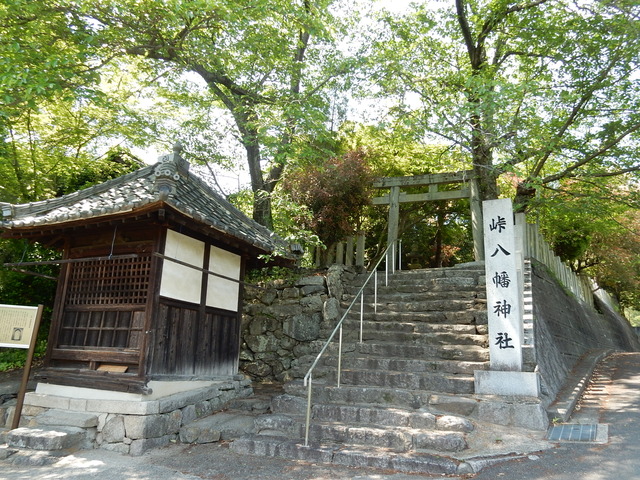 DSCN2427