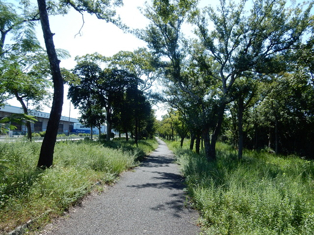 DSCN7227