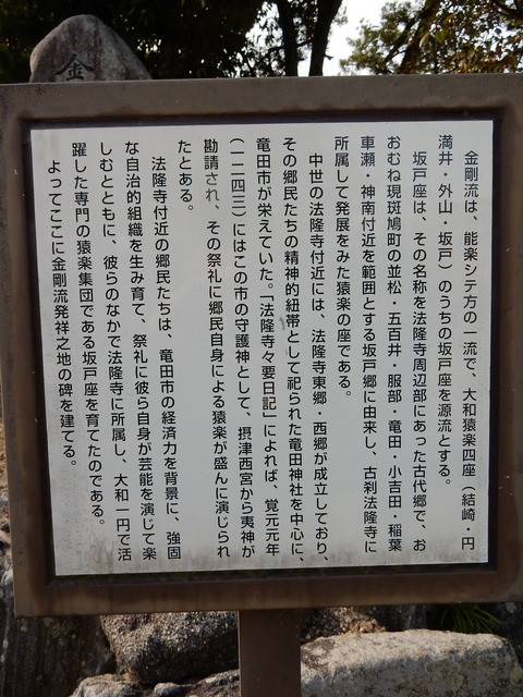 DSCN9785