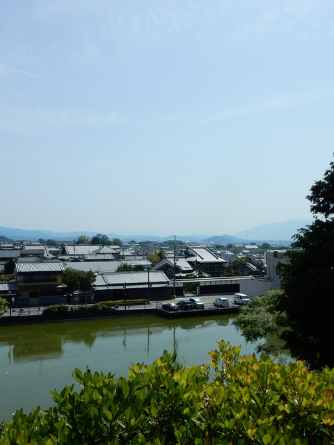 DSCN8424