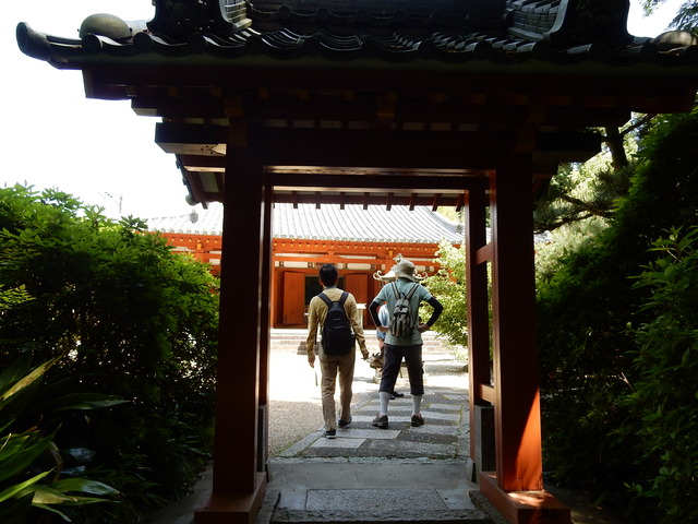 DSCN8316
