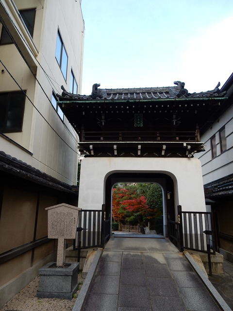 DSCN6349