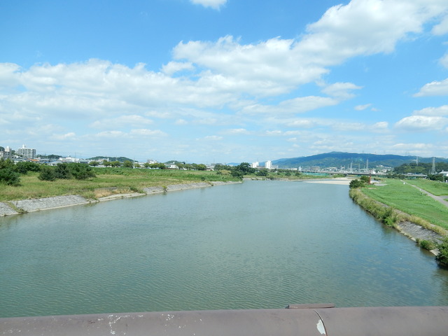 DSCN7116