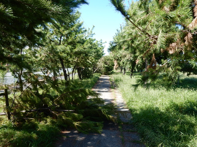 DSCN0091
