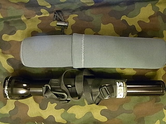 RIMG2168