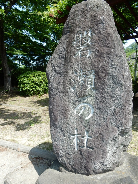 DSCN2431