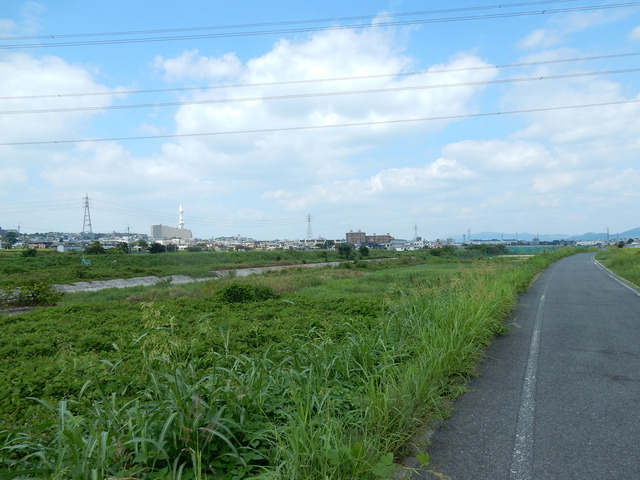 DSCN8838