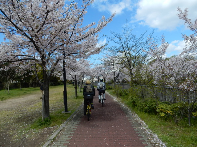 DSCN1816