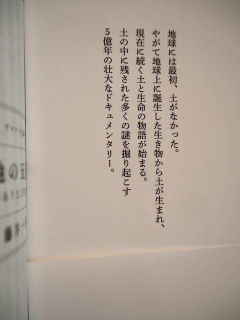P3105590