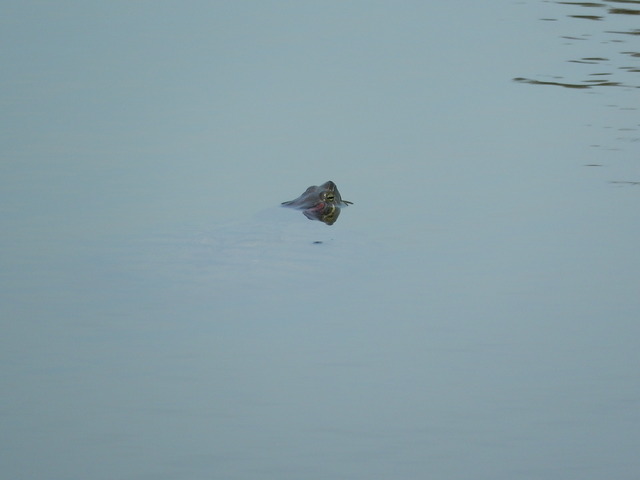 DSCN5626