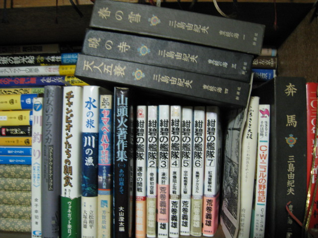 8bd69ed7.jpg