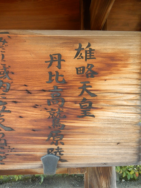 DSCN7679