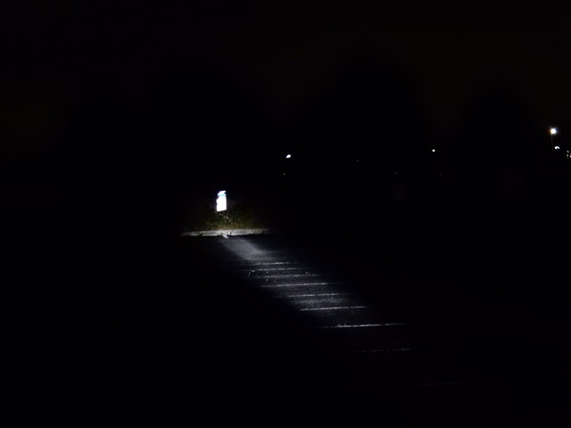 DSCN5908
