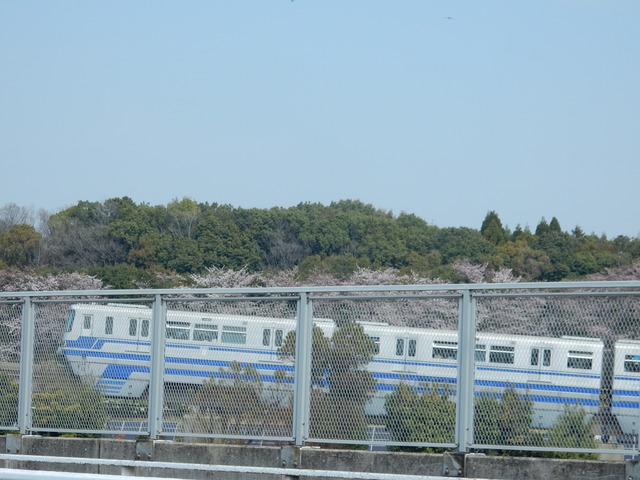 DSCN7858