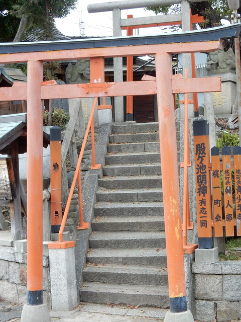 DSCN5816