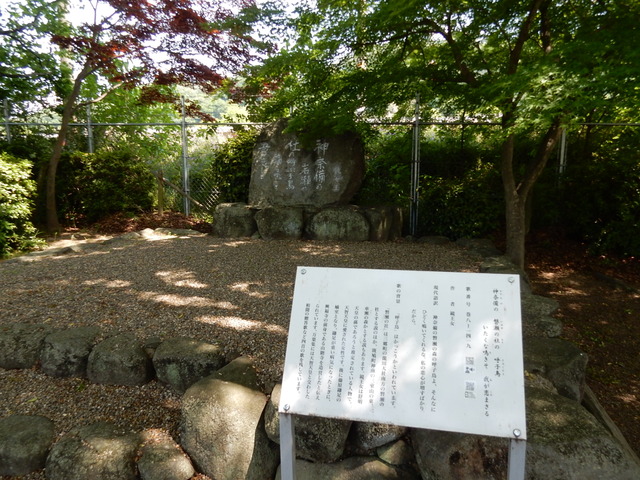 DSCN2433