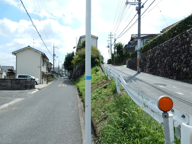 DSCN8817