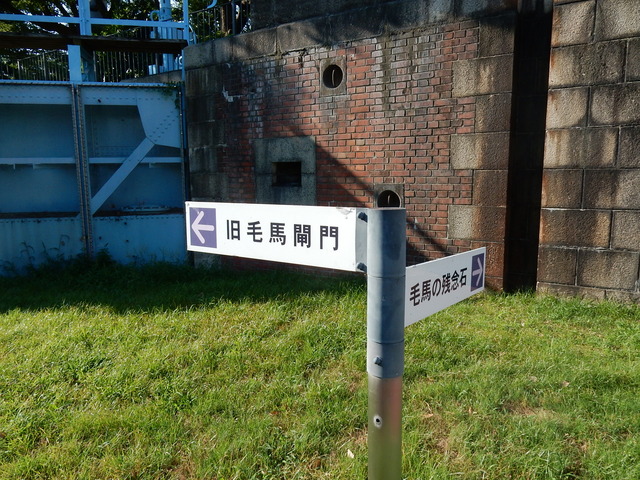 DSCN5371