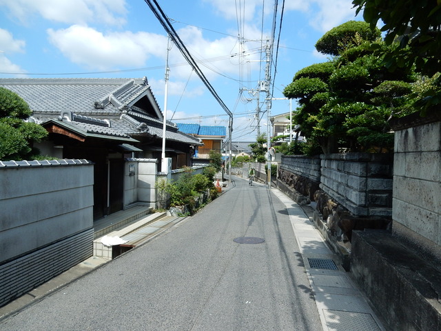 DSCN8812