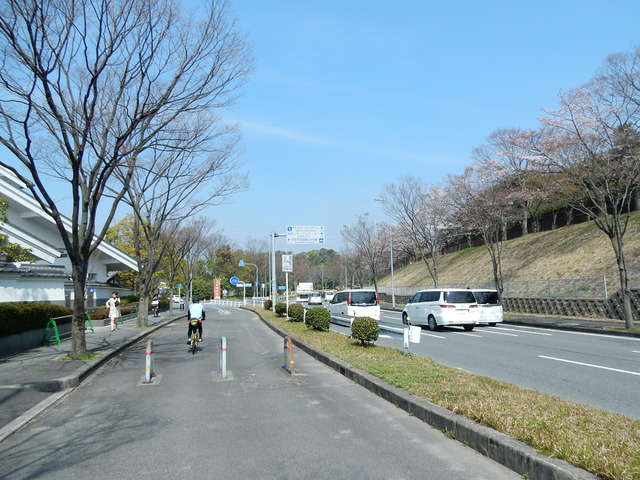 DSCN7851
