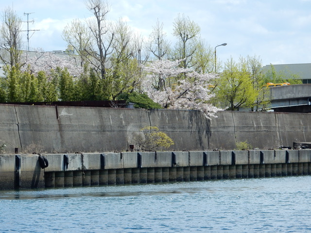 DSCN1904