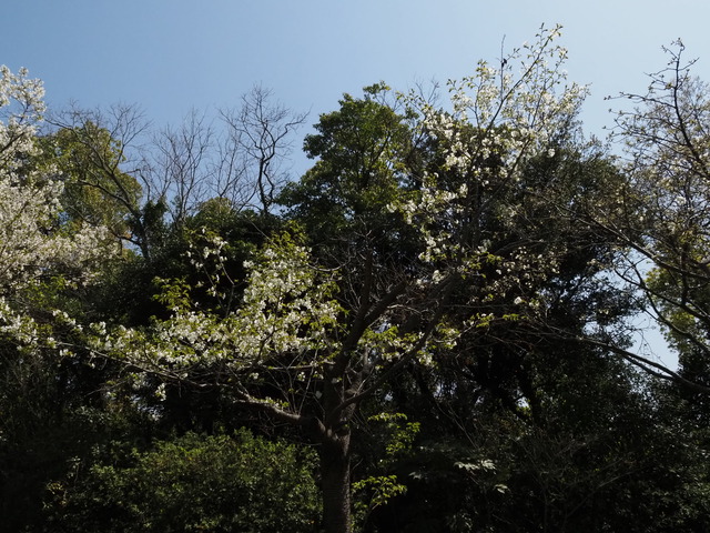 P3293877