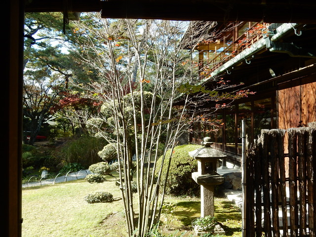 DSCN9923