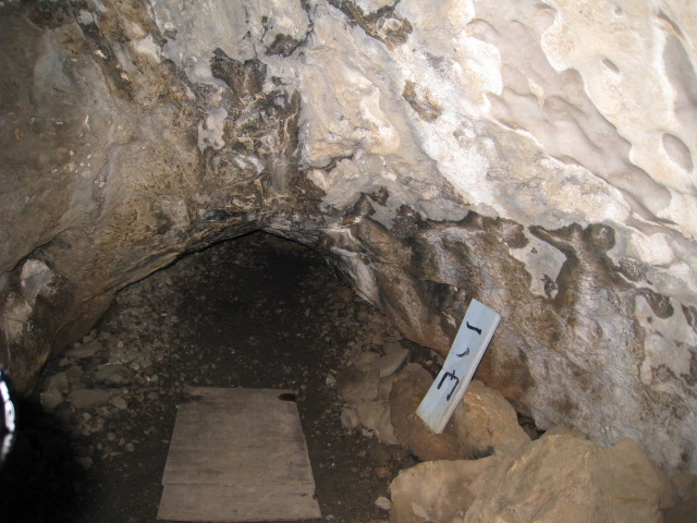 9392cf5c.jpg