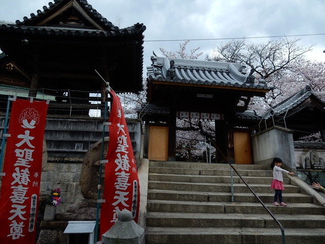 DSCN7468