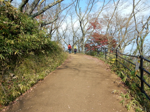 DSCN9761