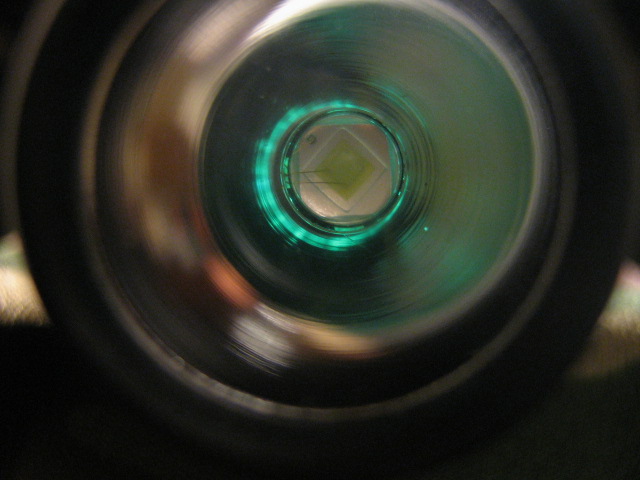 983a81d5.jpg