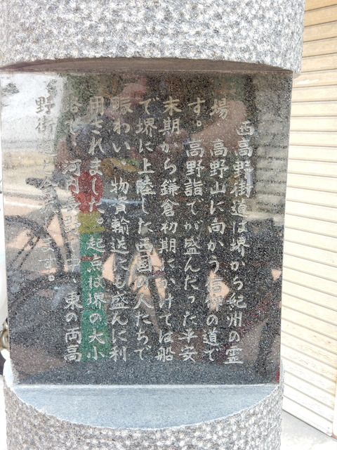 DSCN8794