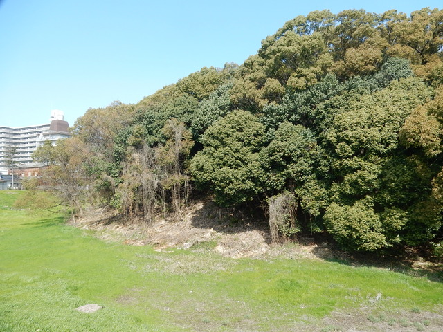 DSCN7628