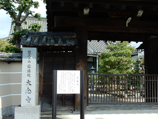 DSCN8858
