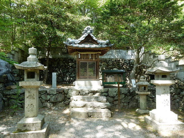 DSCN2419