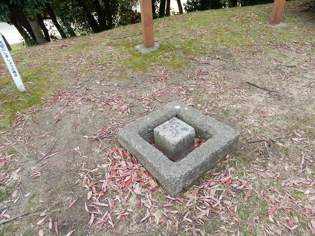DSCN0760