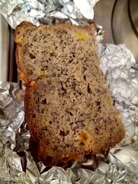 LINE_ALBUM_2026.2.24㈪HAWAII3日目アトランティス潜水艦ツアー＆Kiyomiおにぎり_260301_4